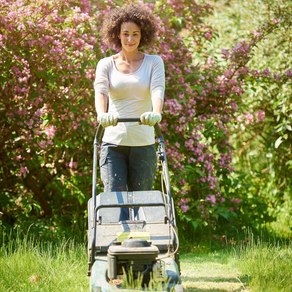 What’s the Best Temperature to Start Working on My Lawn?