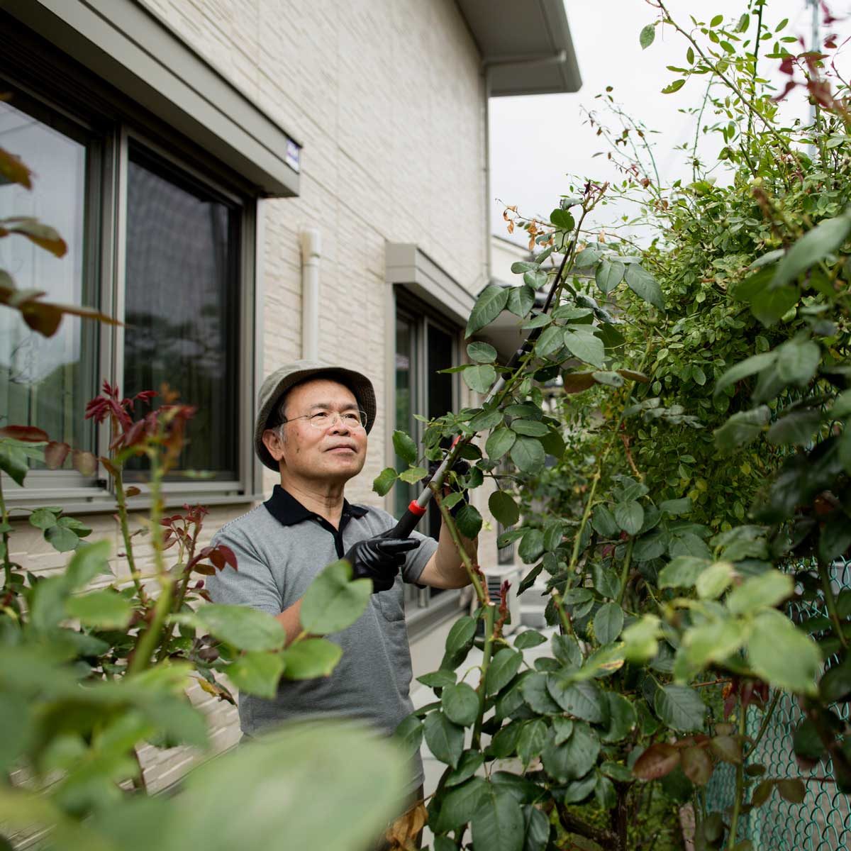Pruning Garden 