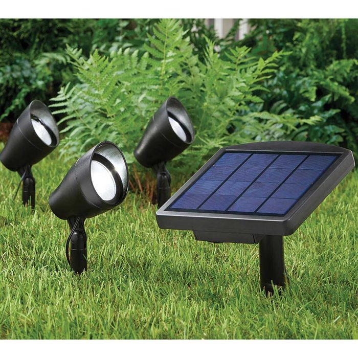 Four black garden spotlights focus light on surrounding greenery, powered by an adjacent solar panel embedded in the grass.