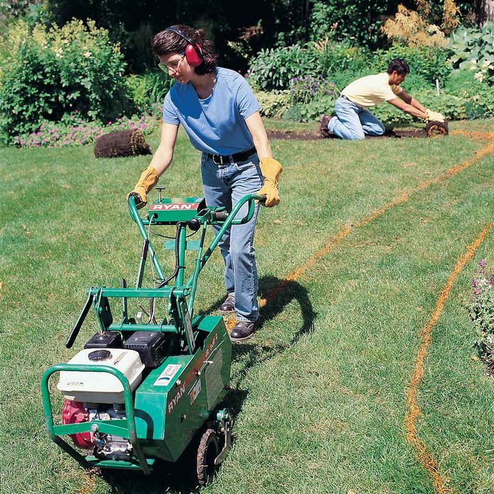 Remove the sod