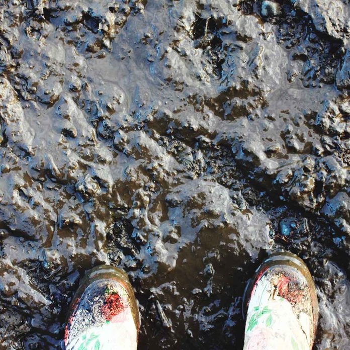Wet Soil