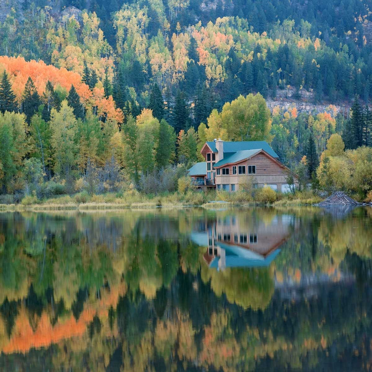 Off Grid House 