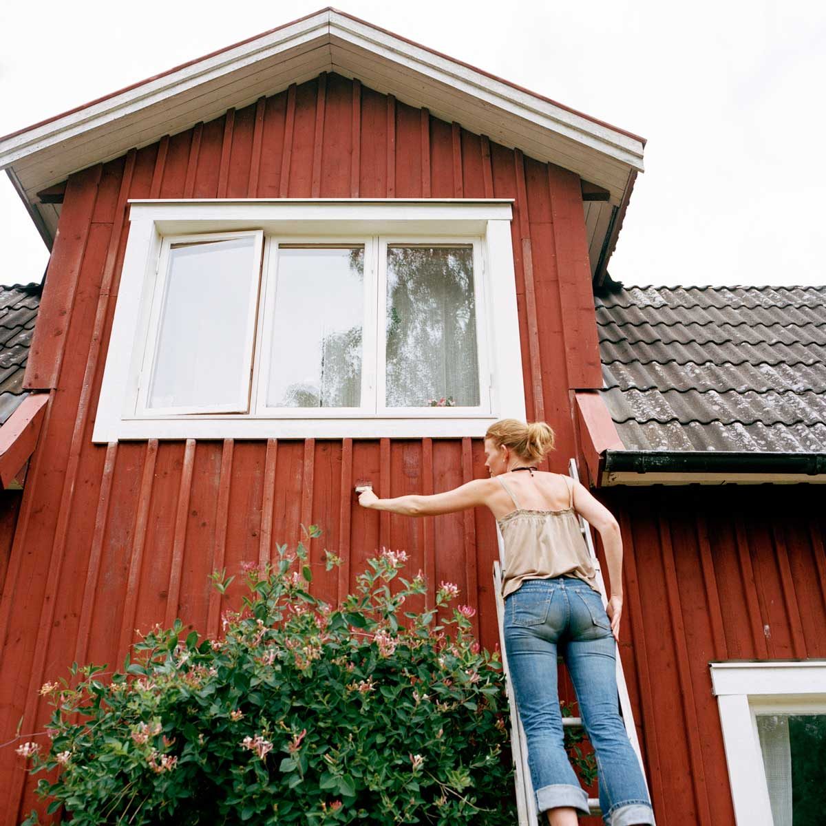 Painting A House