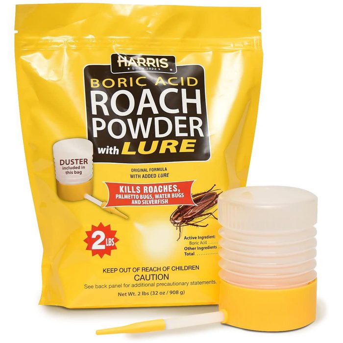 A yellow bag of boric acid roach powder sits with a duster attachment. It's labeled to kill various insects, while cautioning to keep out of children's reach.