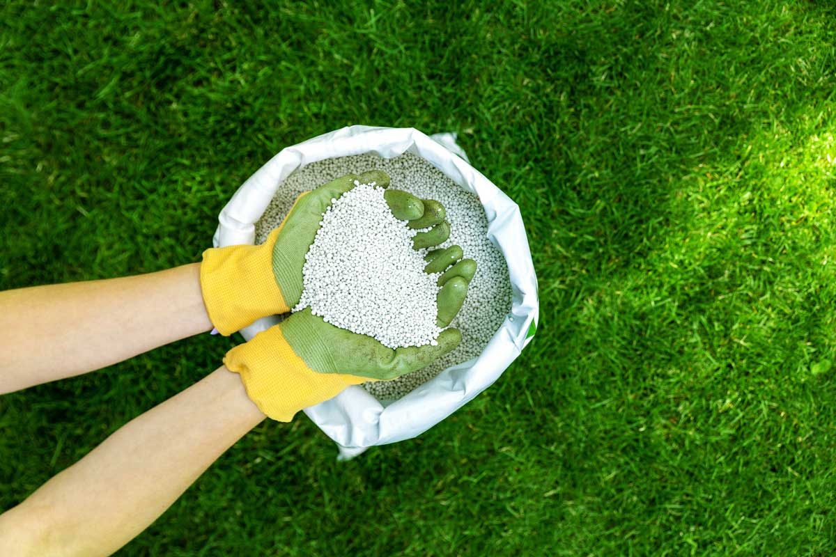 Homeowner’s Guide to Garden Fertilizers
