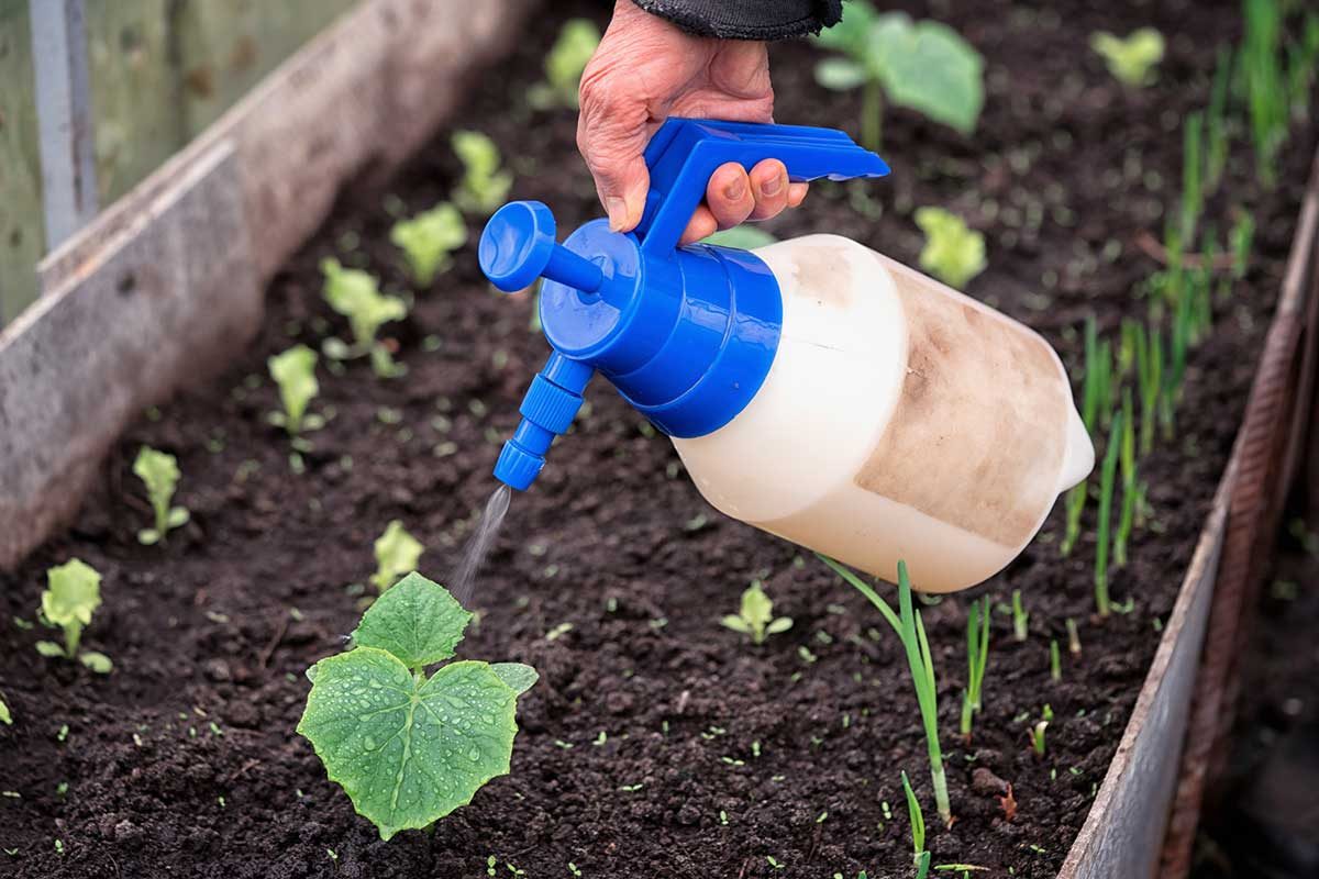 Liquid Fertilizer