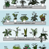 23 Low-Light Indoor Plants That Thrive in Near Darkness