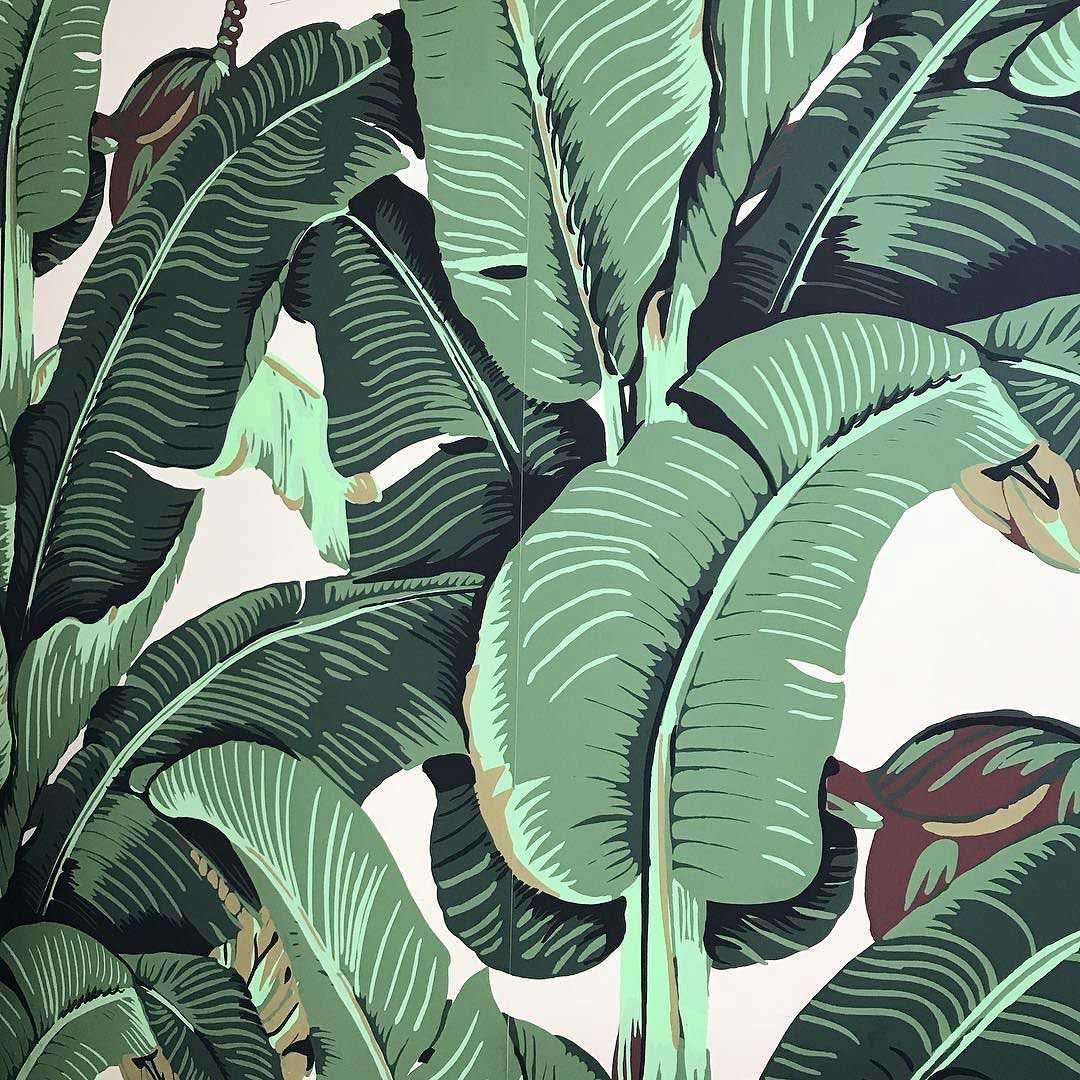 Wallpaper