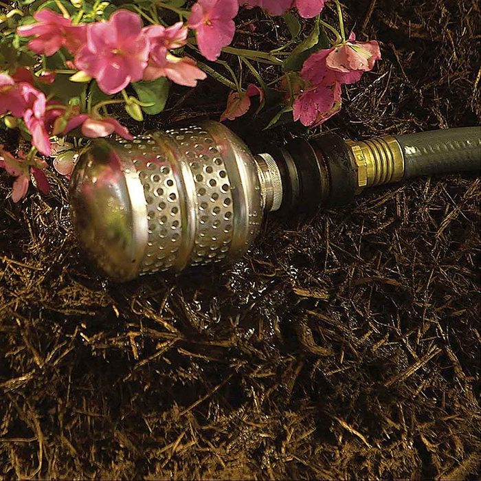 A metal watering nozzle lies on wet soil, surrounded by pink flowers, while water drips from the nozzle, nourishing the plants.