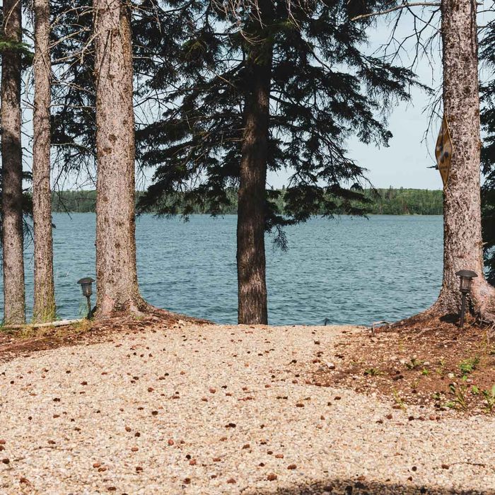 Shoreline Mulch