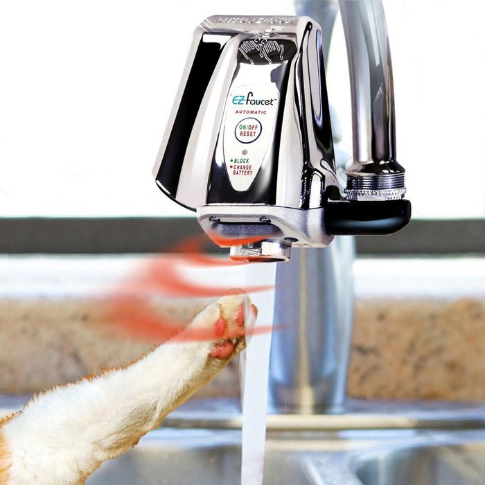 A pet faucet dispenses water as a dog's paw reaches toward it, situated in a kitchen setting with a sink and countertops.
