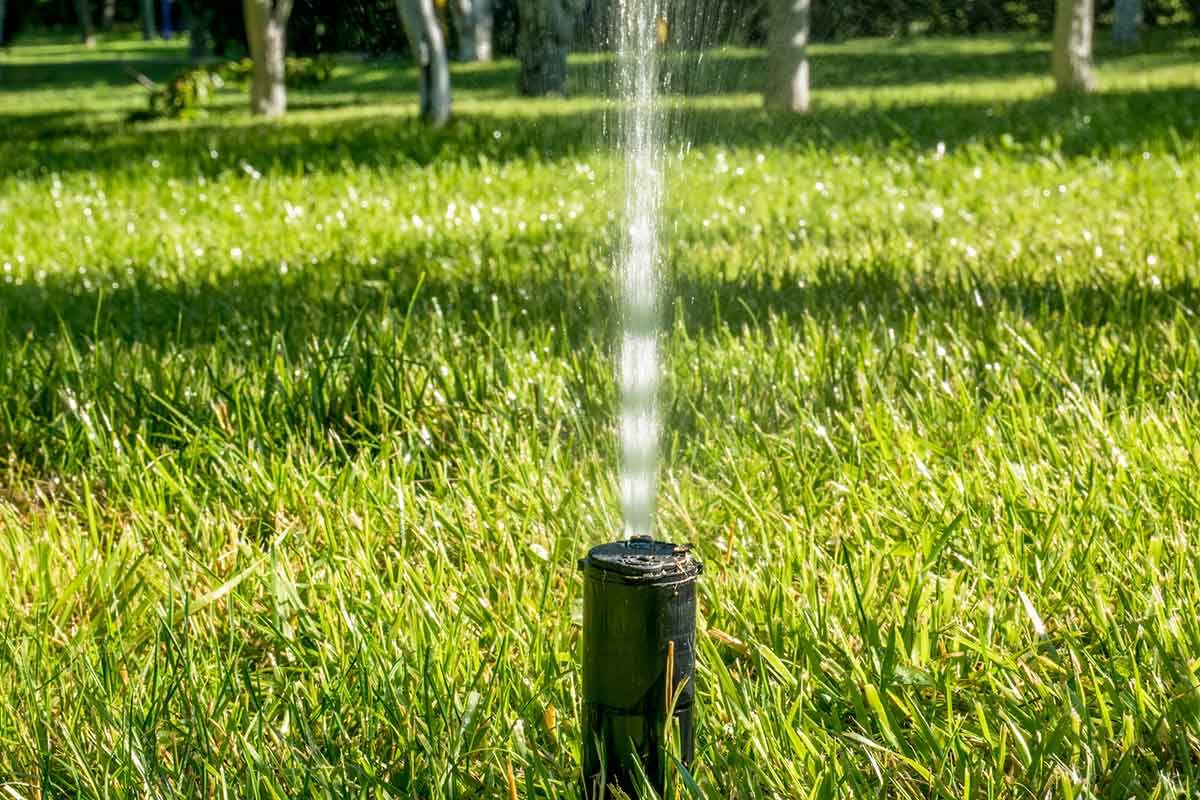Sprinkler 