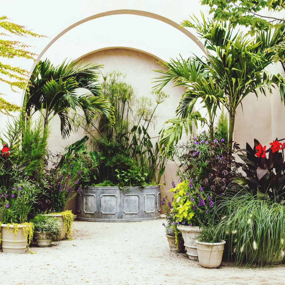 Potted Trees 