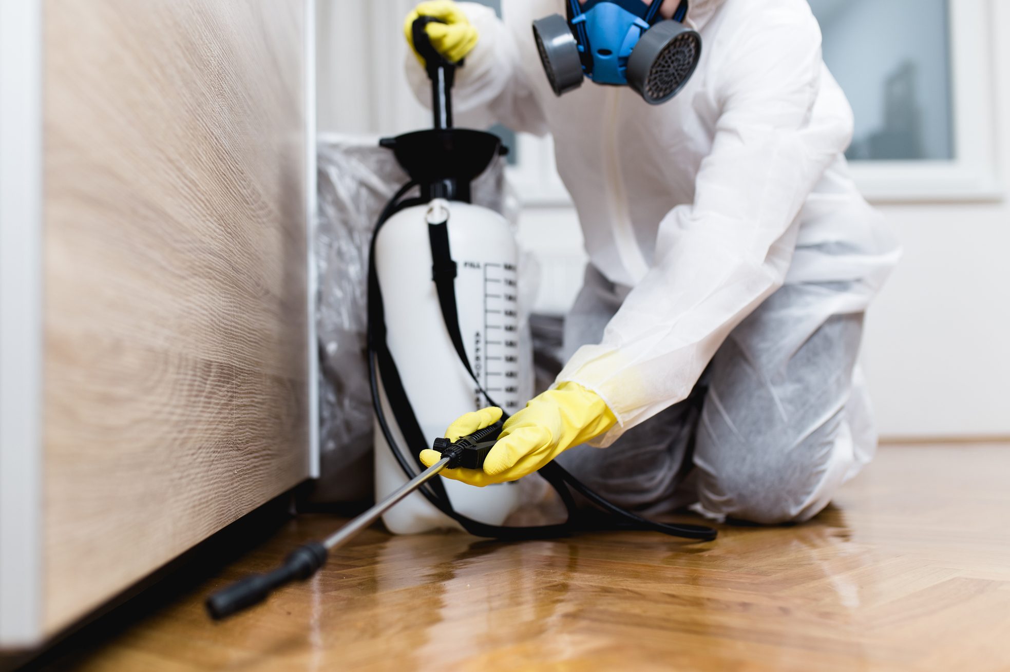 7 Things Your Cockroach Exterminator Wants You To Know