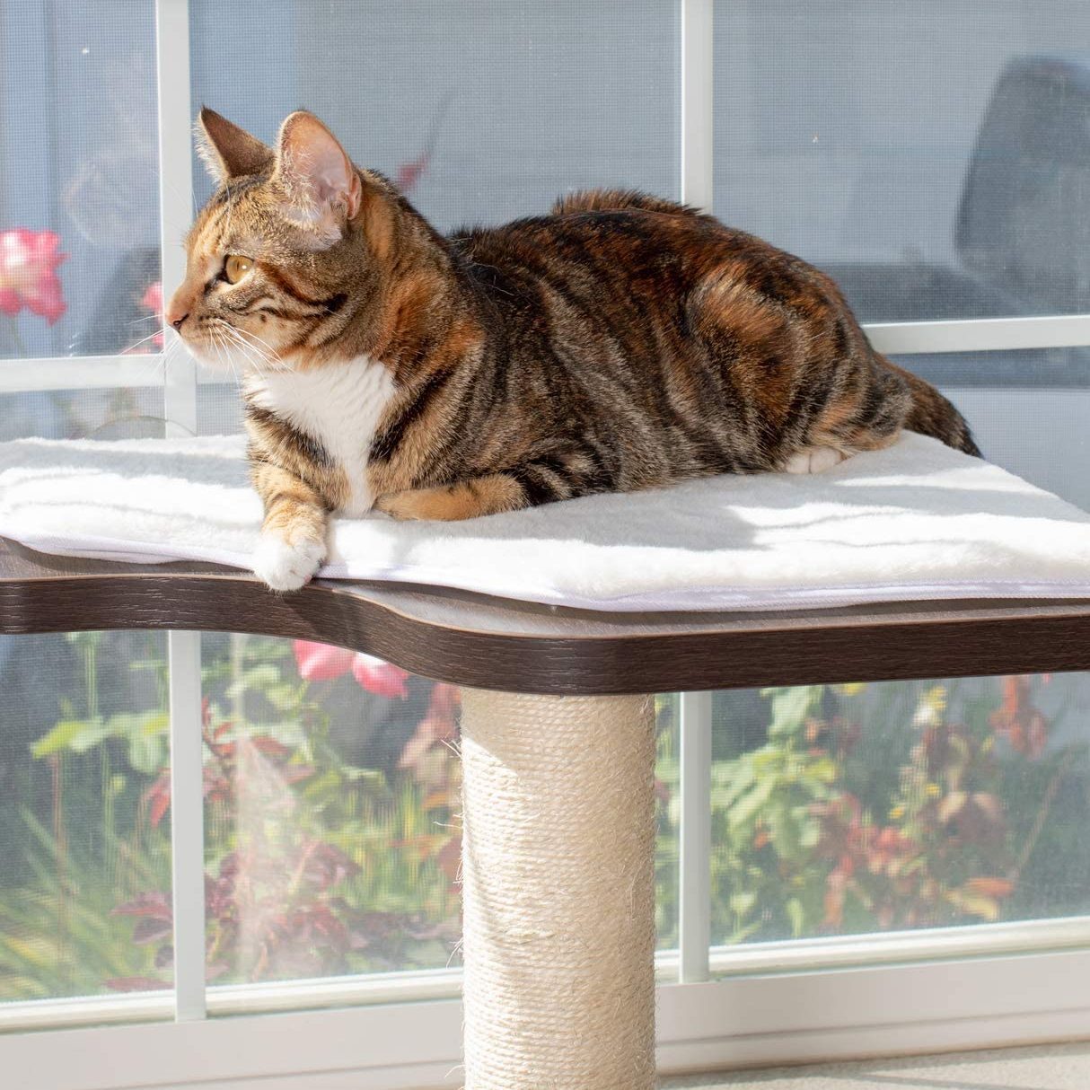A domestic cat lounges on a soft, flat surface of a cat tree, gazing out a window surrounded by flowers and greenery.