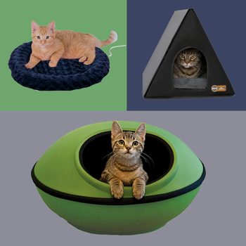 Two cats rest in unique beds: one on a round fluffy bed, another peeks from a triangular shelter, while the third sits in a green oval-shaped nest.