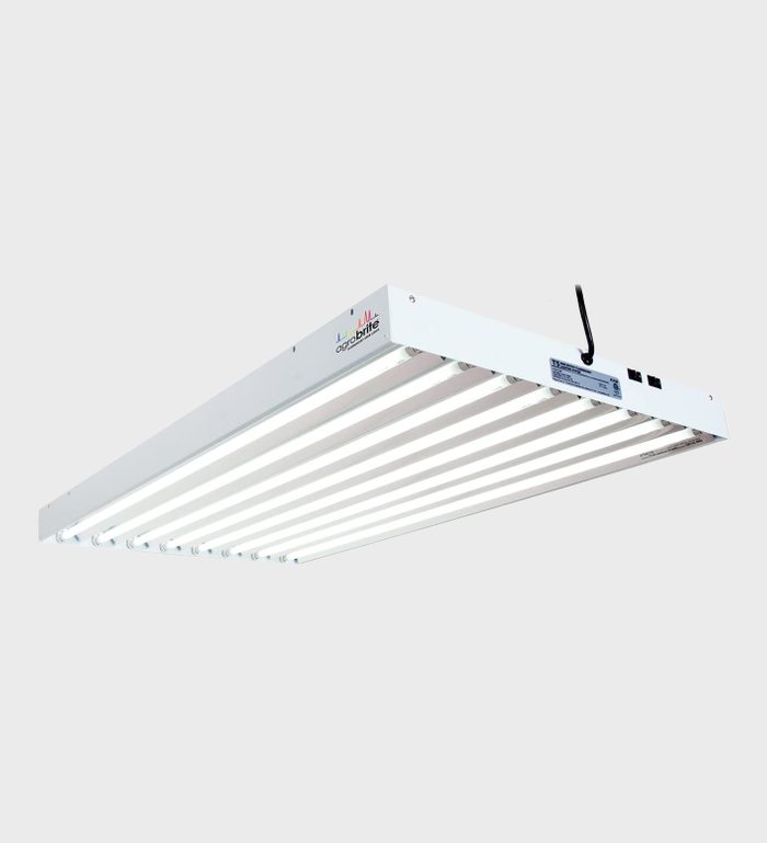 A suspended white fluorescent light fixture with multiple tubes emits bright light, typically used in indoor gardening or plant growth settings.