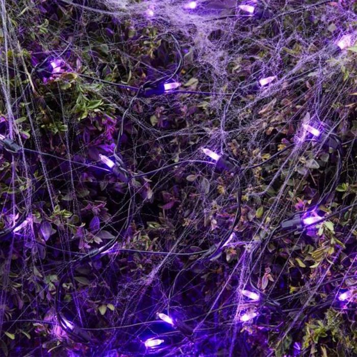 Strings of purple lights are entwined in a web-like formation among green foliage, creating a spooky atmosphere in a darkened outdoor setting.