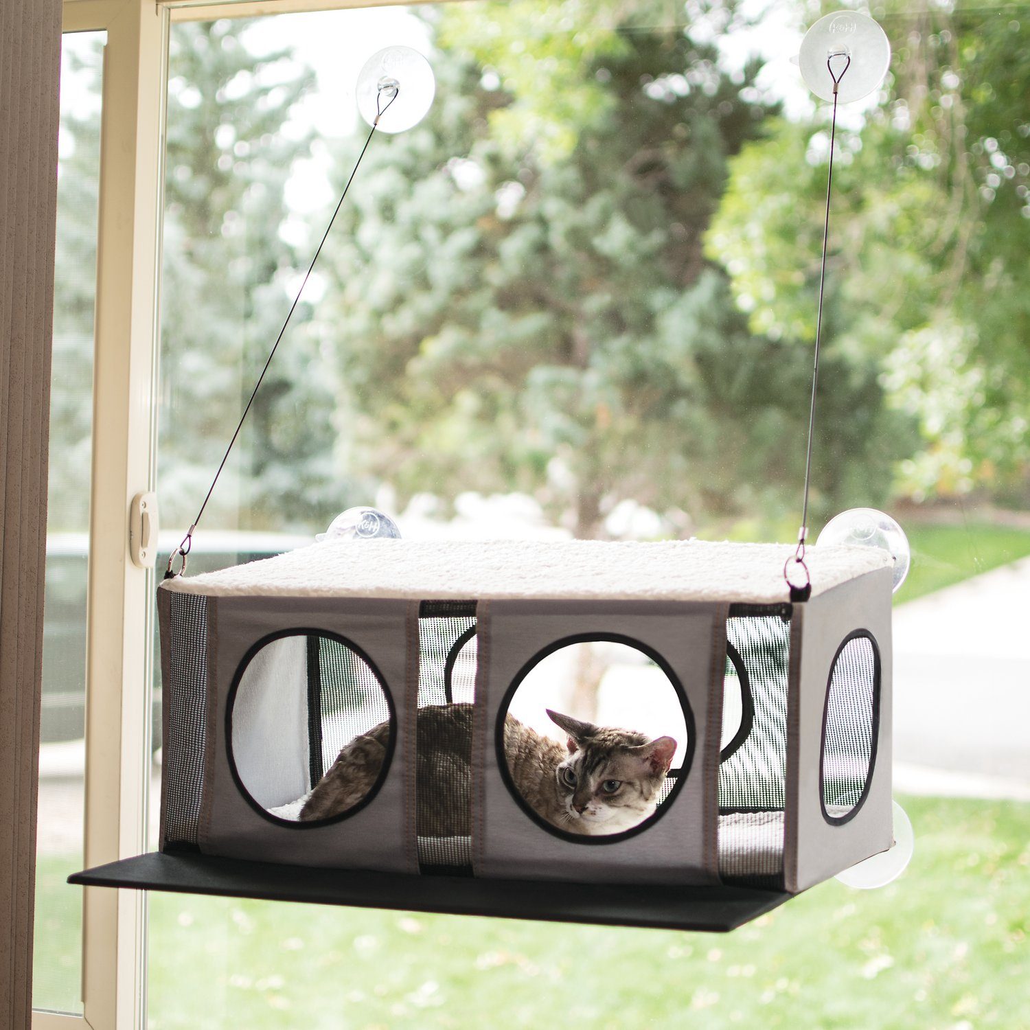 A cat is resting inside a suspended window perch, observing the green outdoor scenery through mesh openings. Suction cups secure the perch to the glass.