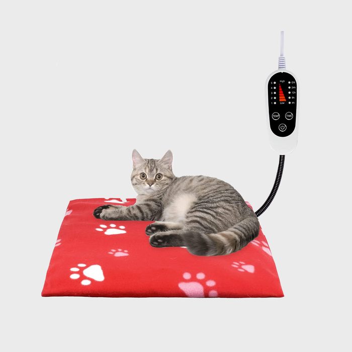 A gray cat lies on a red blanket with paw prints, next to a control unit connected by a cord, suggesting a heated pet bed.