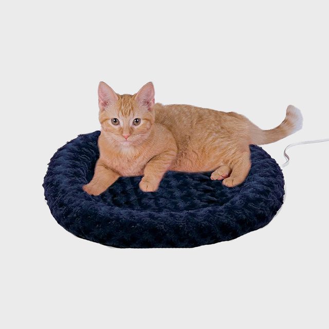 An orange cat rests on a round, soft, dark blue cushion, showcasing a relaxed posture in a minimalistic background.