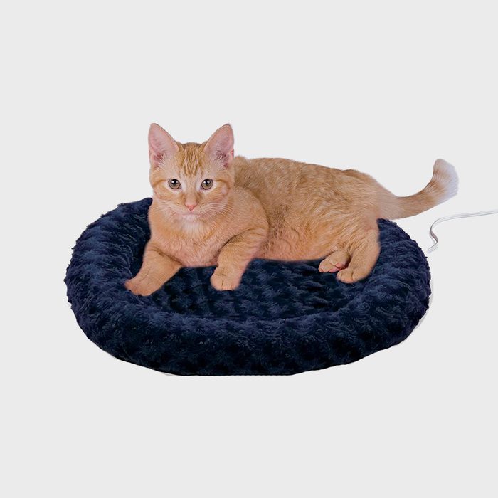 An orange cat rests on a round, soft, dark blue cushion, showcasing a relaxed posture in a minimalistic background.