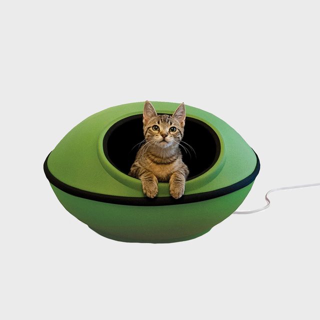 A striped cat lounges in a green, oval-shaped pet bed, appearing content with its paws resting on the edge, against a plain background.