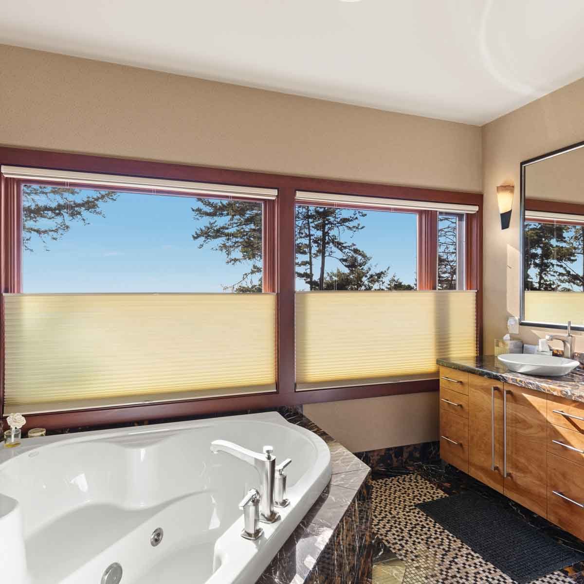 Bathroom Shades