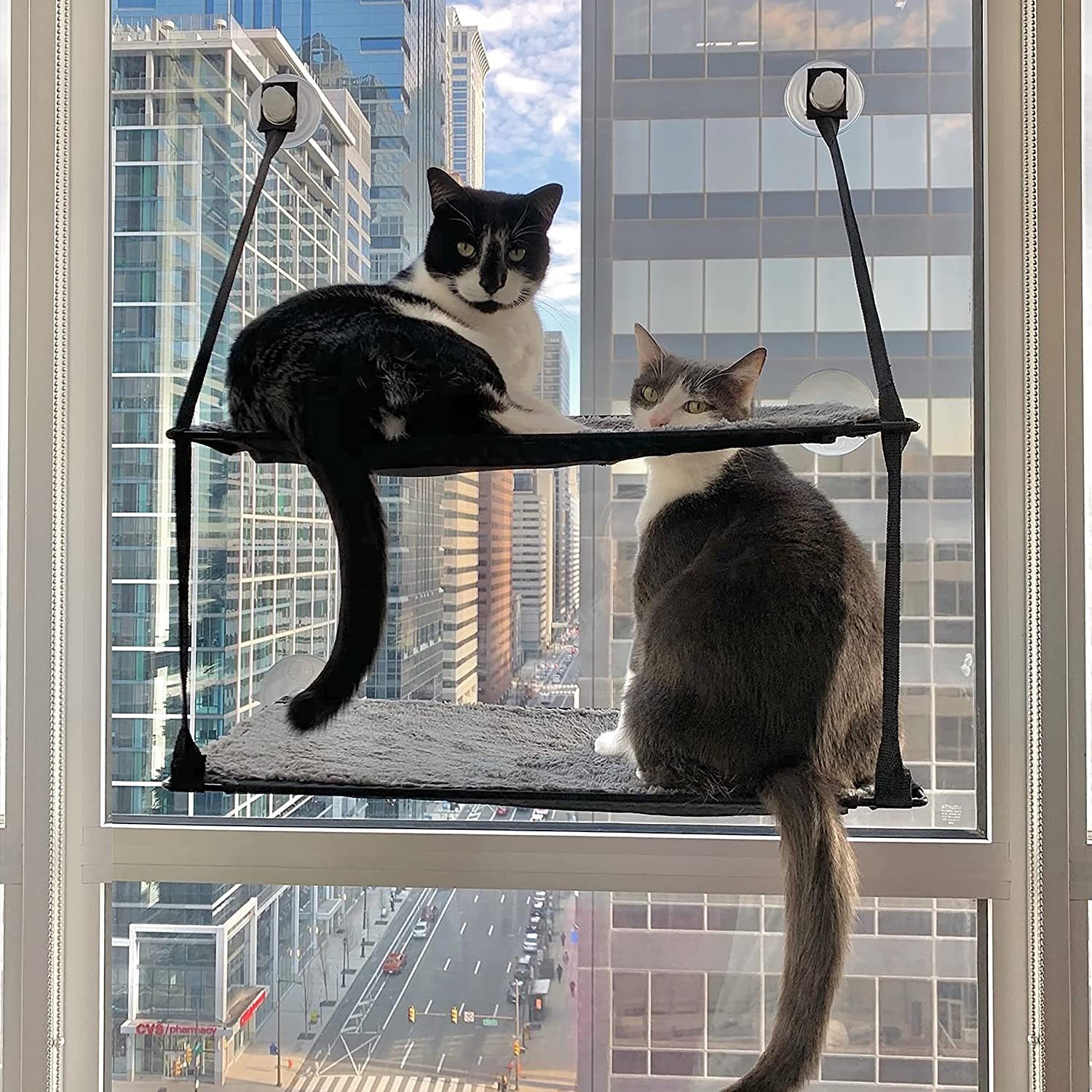 Two cats sit on a window-mounted shelf, gazing out at a cityscape filled with tall buildings and a busy street below.