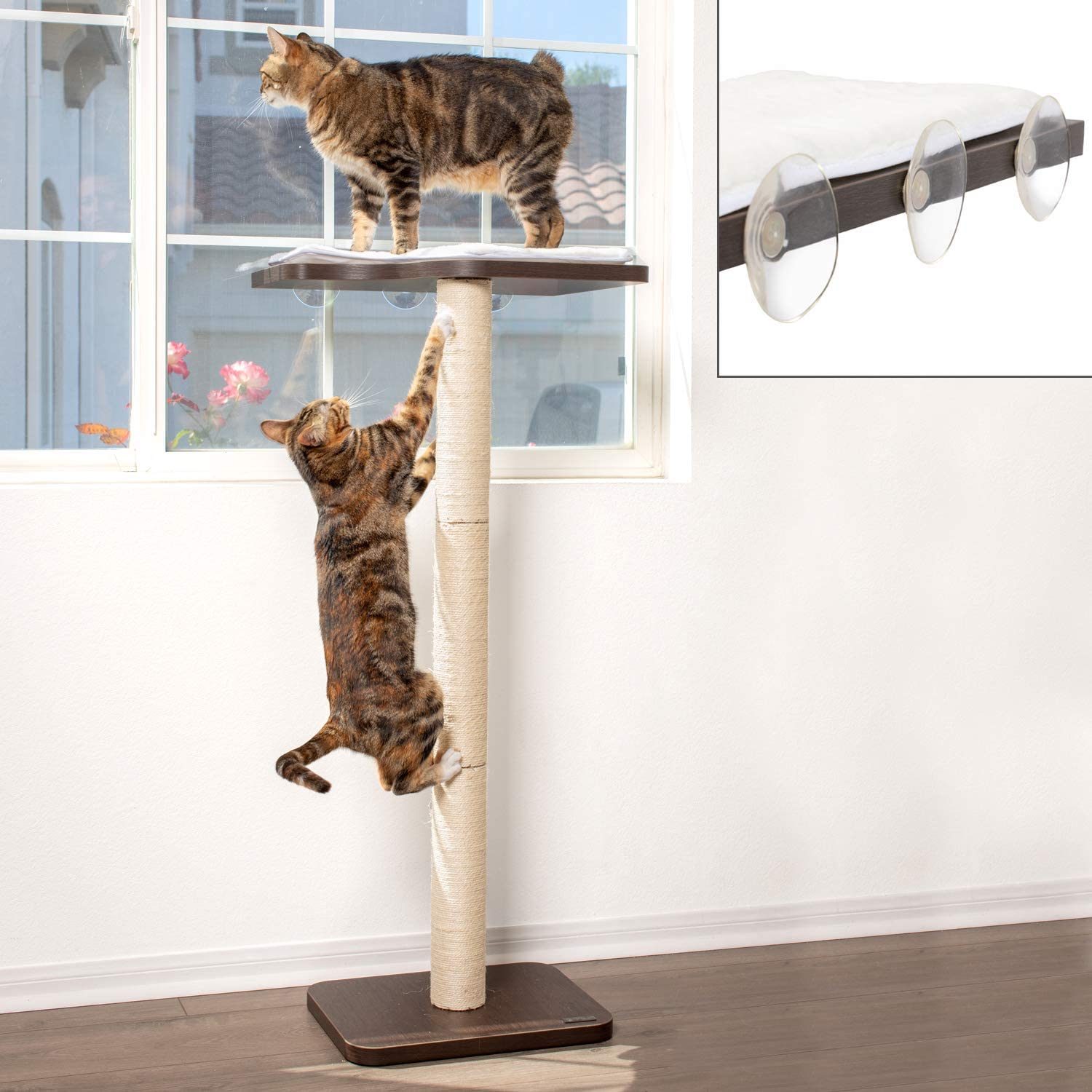 Two cats interact with a cat tree; one climbs the pole while the other stands on the top platform near a sunny window.