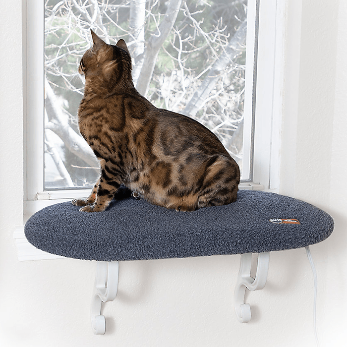 A cat sits on a gray window perch, gazing outside at bare branches, framed by a white wall and a bright window.