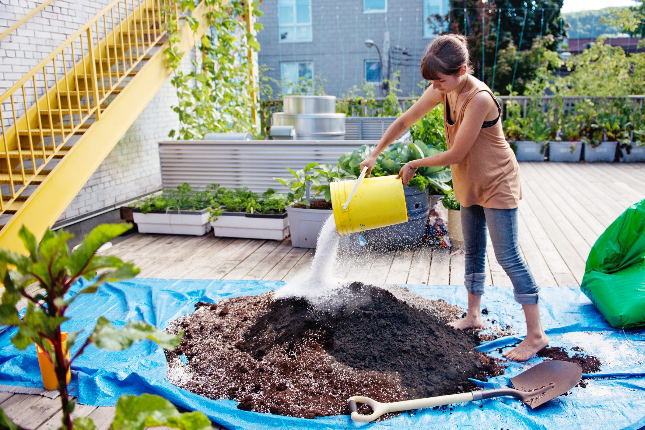 What To Know About Soil Amendments