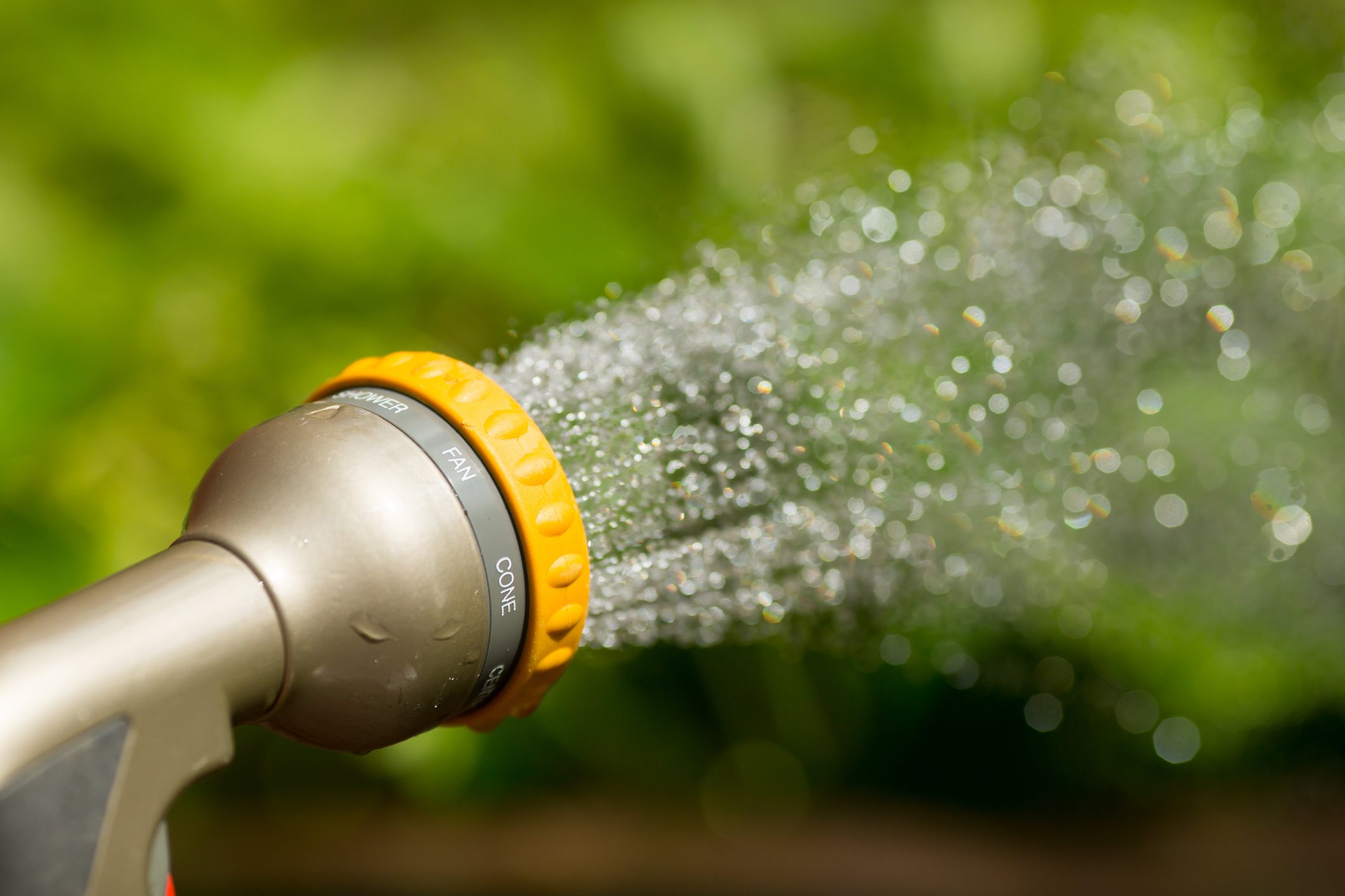 Adjustable water sprayer