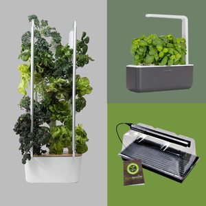 A vertical garden showcases thriving leafy plants, while a small herb planter and a grow light are positioned nearby, suggesting indoor gardening solutions.