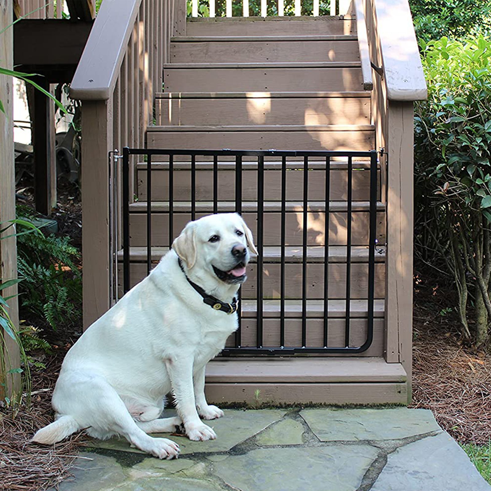 Best Outdoor Pet Gate Via Amazon