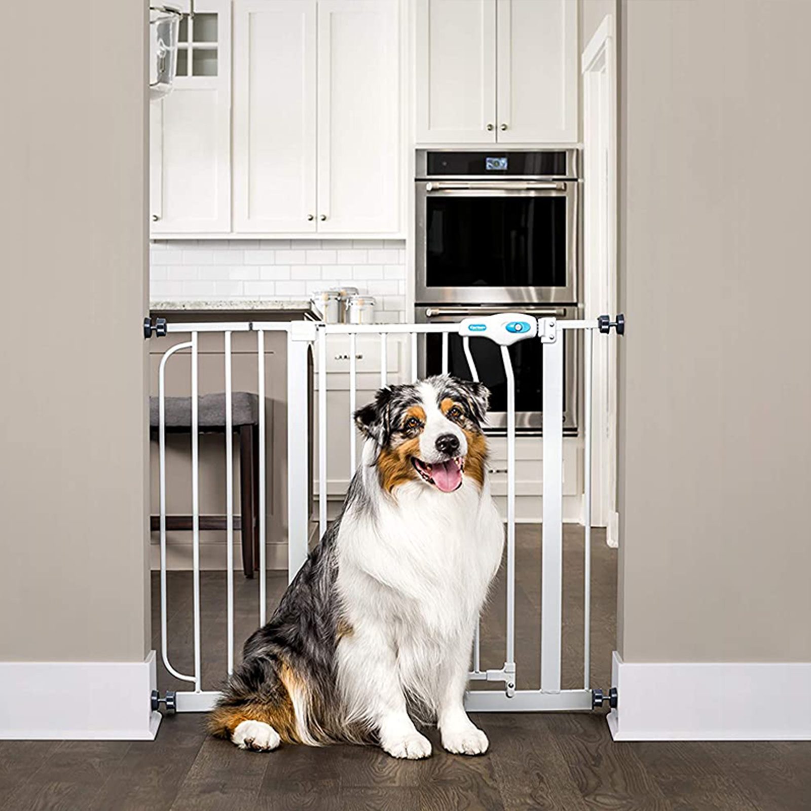 Best Walk Through Dog Gate Via Amazon