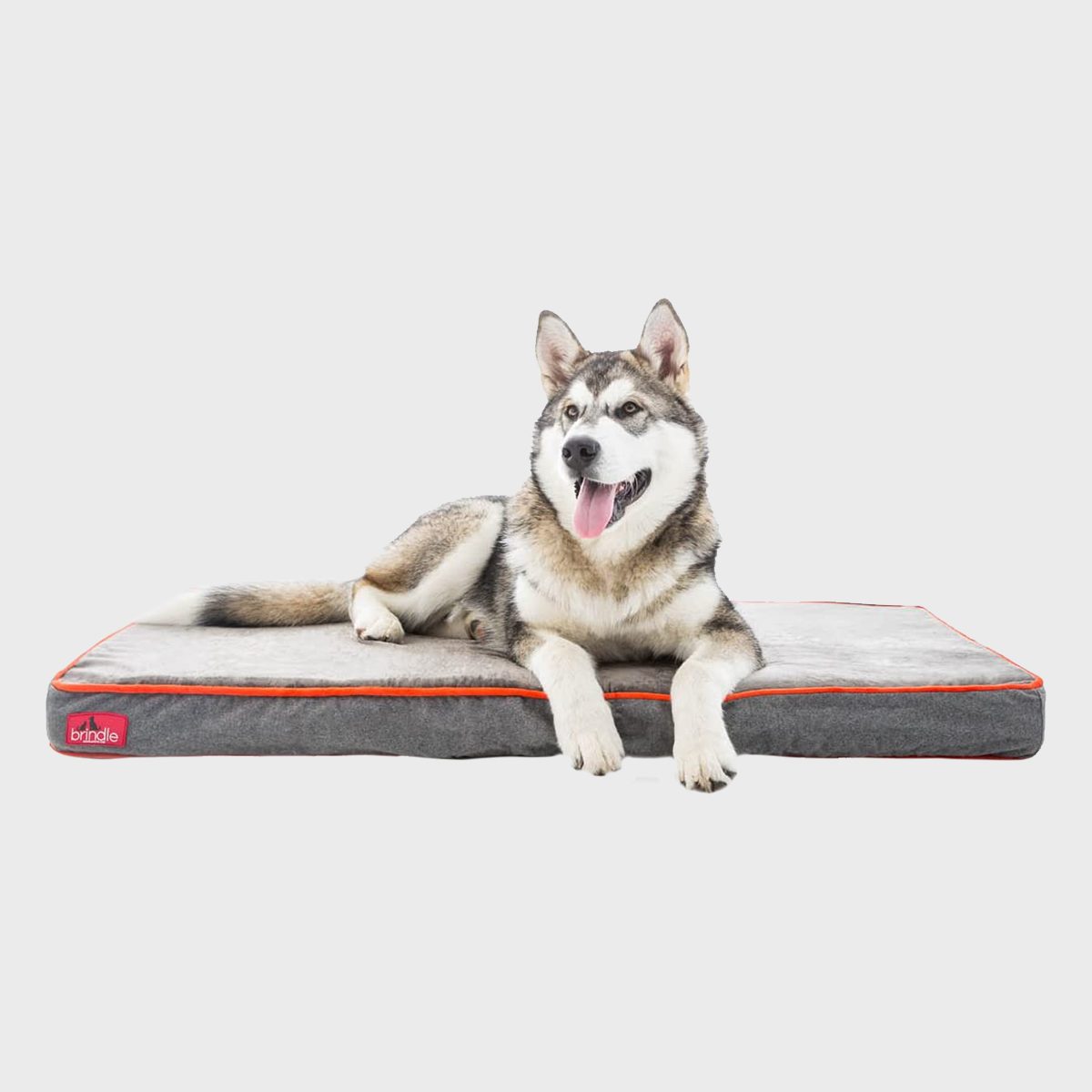 Brindle Dog Bed