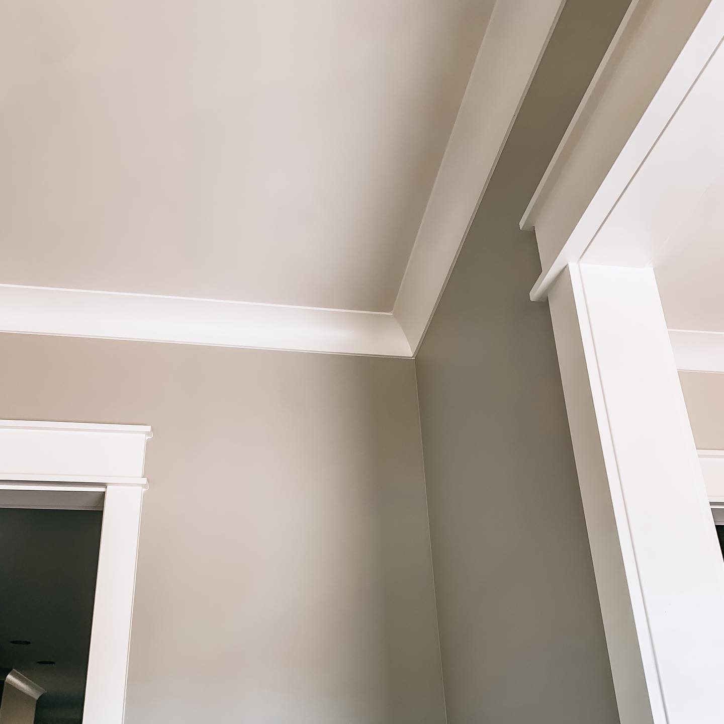 A ceiling and wall corner feature white crown molding, with a pastel gray wall transitioning to a reflective panel, suggesting an indoor room's interior design.