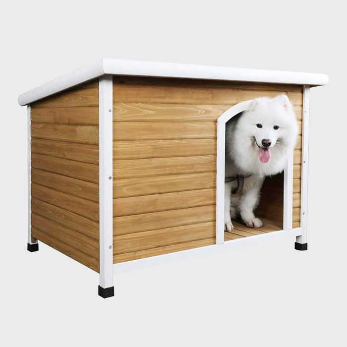 A white dog emerges playfully from a wooden dog house, featuring a slanted roof and a small entrance, set against a neutral background.
