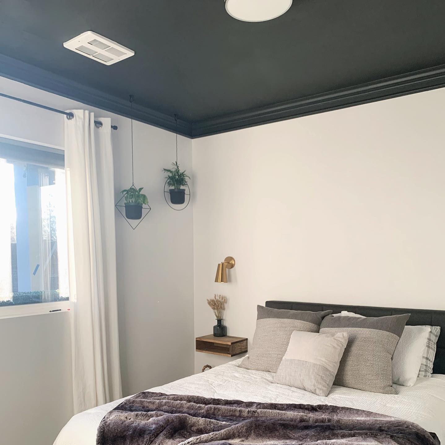 A bed with pillows is arranged neatly, while ceiling plants hang nearby. A gold wall lamp illuminates the cozy, softly lit bedroom with white walls.