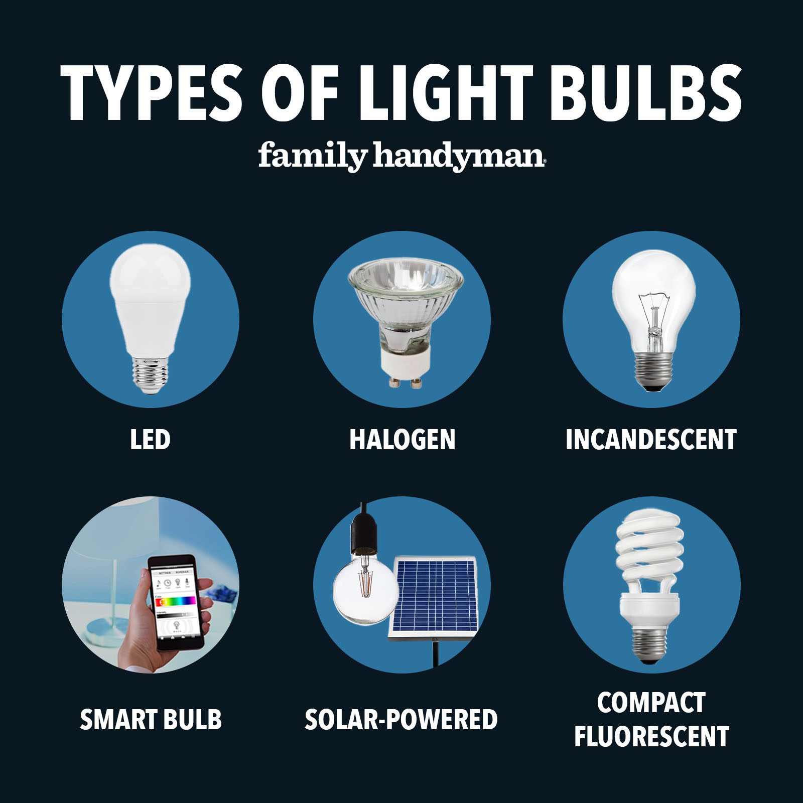 Types Of Light Bulbs Fhm