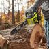 8 Best Chainsaws for Home Useâ€”Affordable and Gas Options