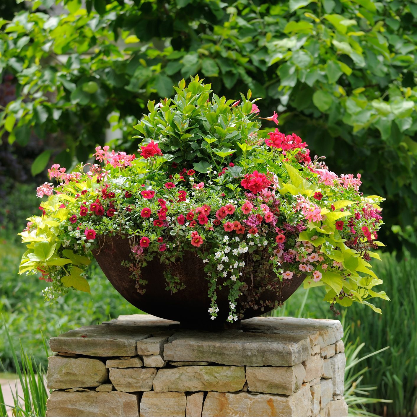 Flower Pot