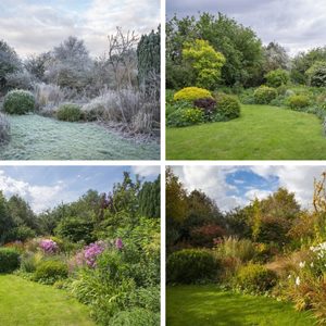 Four garden scenes showcase various plants and flowers in different seasons, with frost, vibrant colors, lush greenery, and clouds creating a tranquil environment.