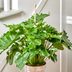 10 Brilliant Uses for Curtain Rods