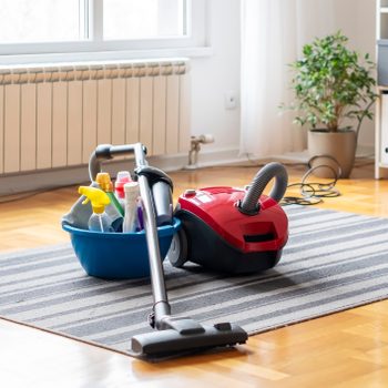 A vacuum cleaner rests beside a blue bucket filled with cleaning supplies on a striped rug in a bright, airy room with wooden flooring.