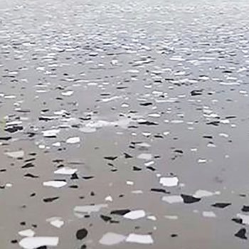 Floating debris, mostly white and black, spreads across a calm, muted water surface, creating a scattered mosaic effect in an outdoor environment.