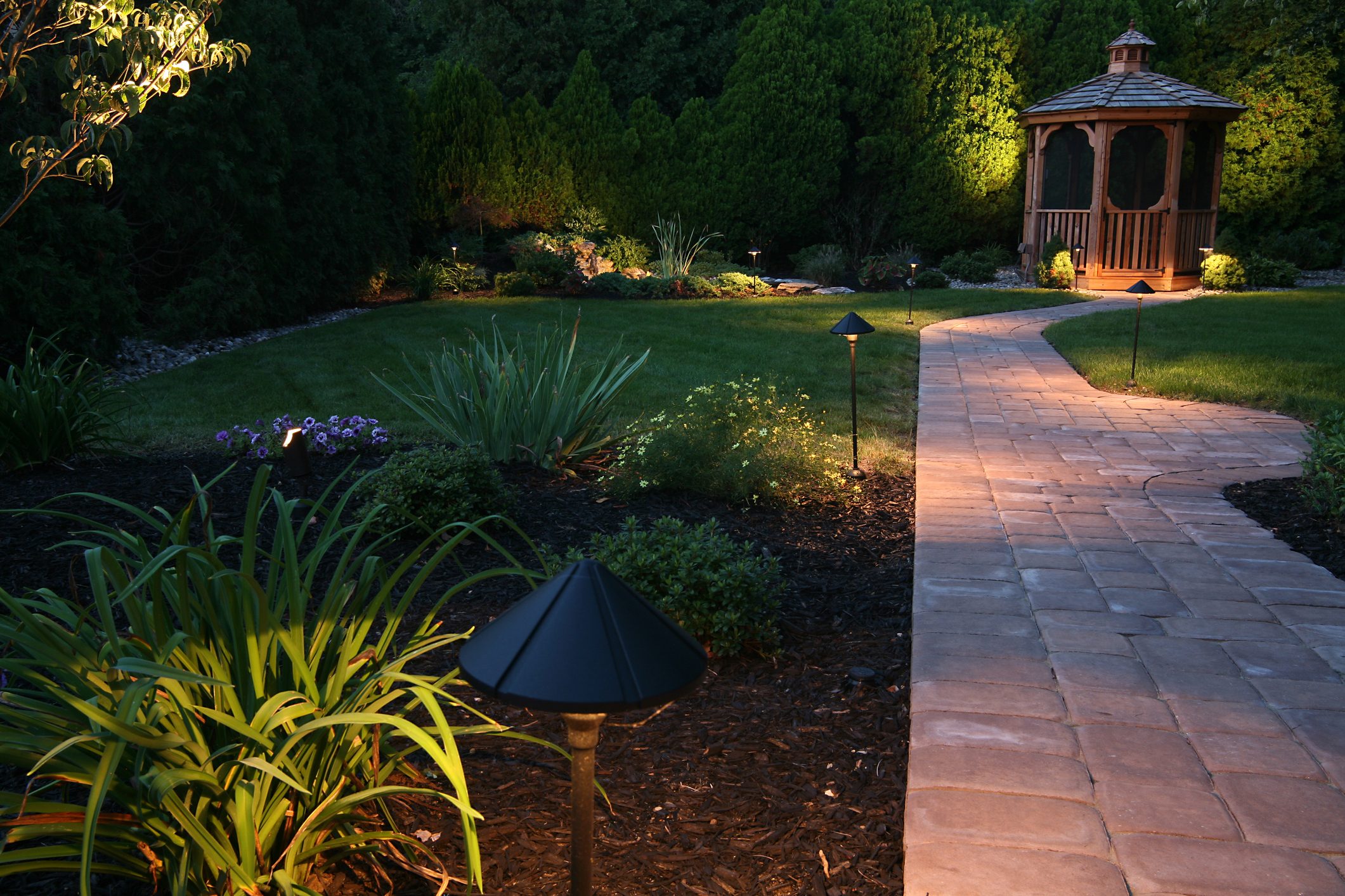 garden pathway illuminated by lights