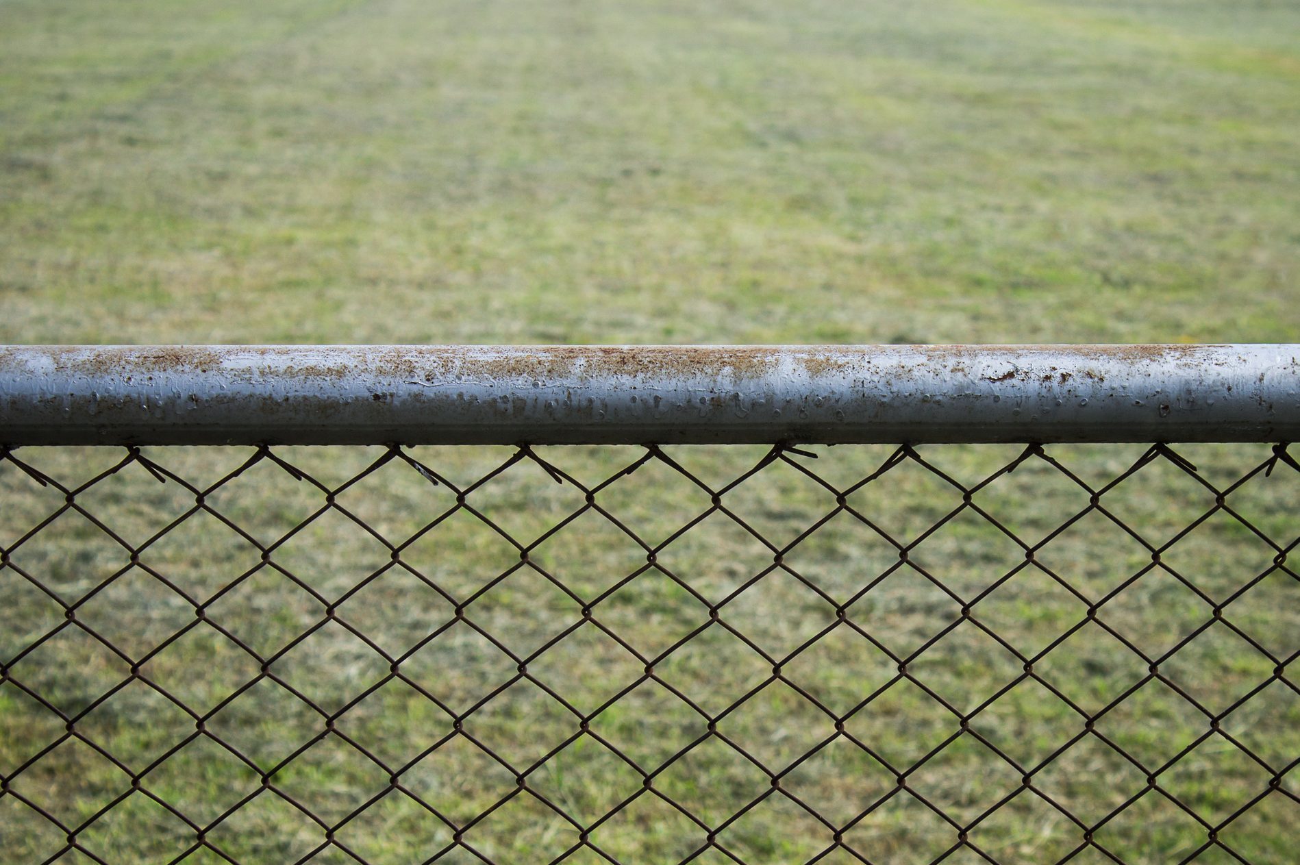 The barb and net