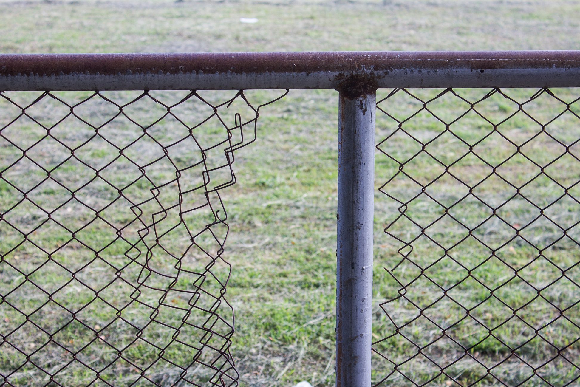 The barb and net